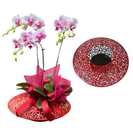 新中式铁艺镂空蝴蝶兰花盆国潮风年宵花装饰盆节日氛围装饰插花器