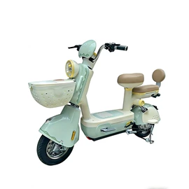 电动自行车