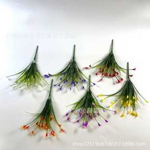 Rd羳5^Rɏ bٻϻ滨ֲˮ