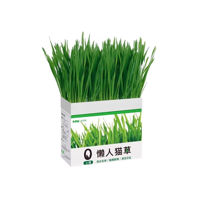 Hierba para gatos en invierno, bolas de pelo en macetas, semillas perezosas, bolas de pelaje, granos liofilizados, bocadillos para gatos, menta para gatos