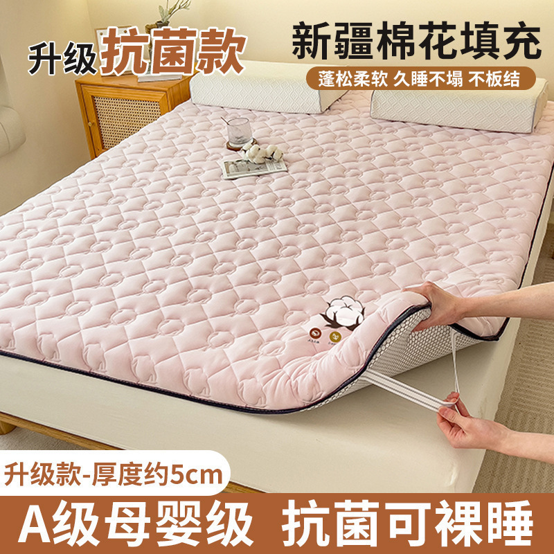 면가루 [업그레이드된 A등급 항균, 진드기 방지 원단, 두께 약 5cm]