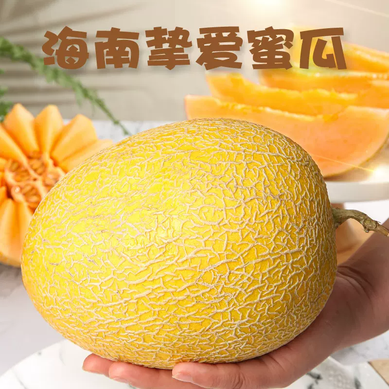 海南挚爱蜜瓜 代发3/9斤新鲜冰激凌甜瓜应季黄河蜜甜瓜当季哈密瓜