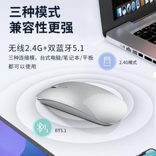 �{���o����˳���o���k���m���A��������A�T��XŮ������