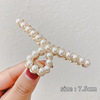 Metal advanced elegant shark, hairgrip, crab pin, brand big hair accessory, high-quality style, South Korea