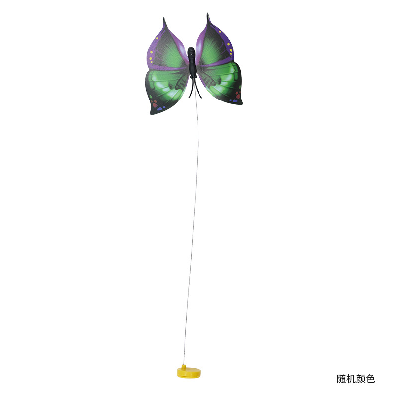나비 액세서리