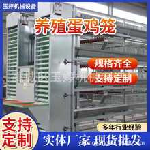 定制现货批发蛋鸡笼肉鸡笼雏鸡笼阶梯式鸡笼热镀锌畜牧养殖笼具