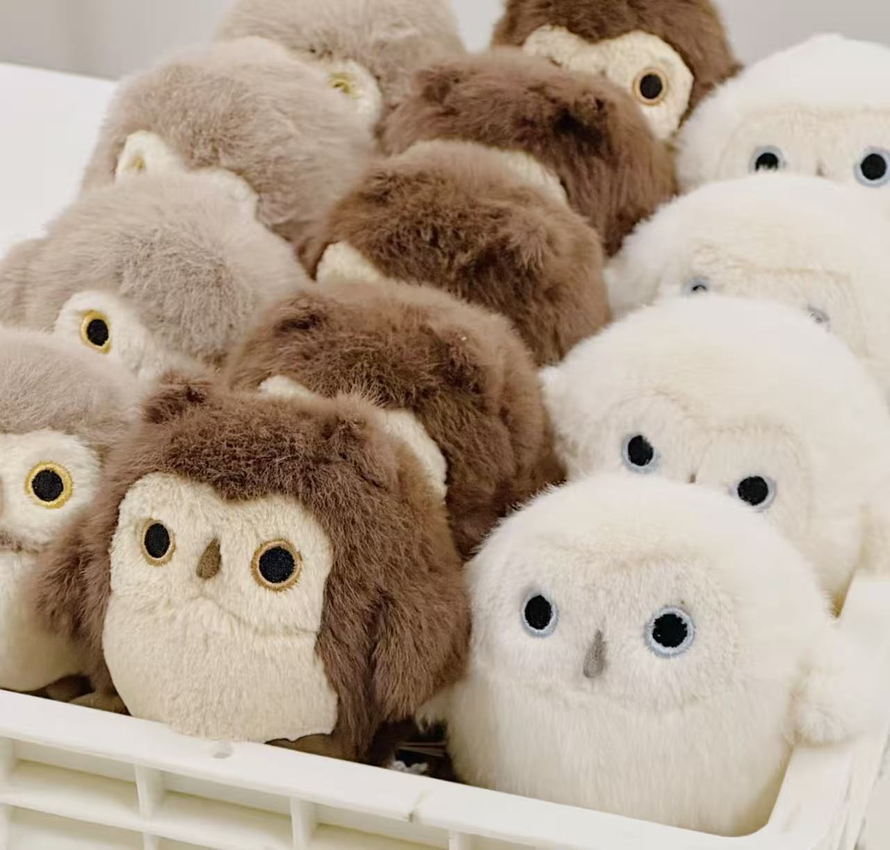 コレクション1;