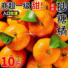 沙糖桔橘子新鲜水果当季整箱贡柑包邮砂糖蜜桔广西金秋橘二级