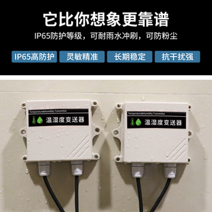 Temperature and Humidity Sensor Module High-Precision Transmitter Rain and Snow Greenhouse Monitoring Industrial Grade Temperature and Humidity Meter