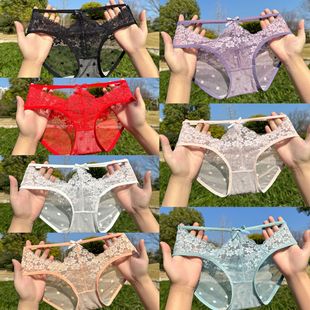 2026�����p���ٽzŮʿ��ѝ��ܛ�ٽz�����Y�Ը��U���T�������ѝŮ