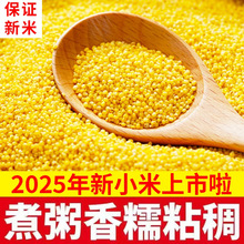 �r���خa�����ӵ��SС�����������׌������s�ZС�S������s�ZС��