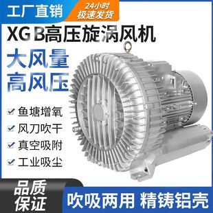 High-Pressure Vortex Fan Industrial Vacuum Pump Fish Pond Aerator Blower Oxygenation Pump Vortex Air Pump