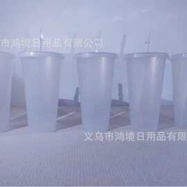 跨境爆款亮晶晶闪粉大容量PP吸管杯单色时尚水杯支持图片文字加印