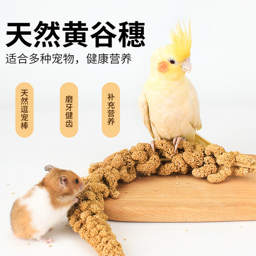 Parrot snacks, millet, tiger skin, peacock, peony, feed, bird food, bird grain, training rewards, food, hamster snacks