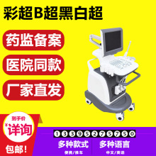 现货 彩色多普勒超声 彩超机 人用彩色b超机 动物b超机 医院款 4