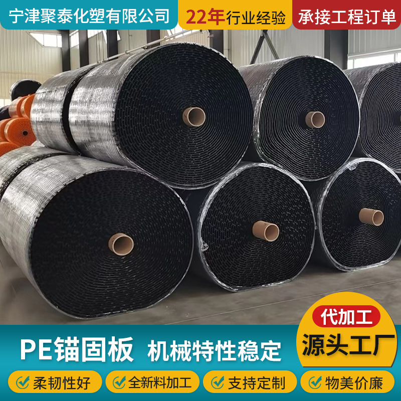 聚乙烯多点锚固板混凝土隧道防腐防渗一体板管道内衬板pe锚固板