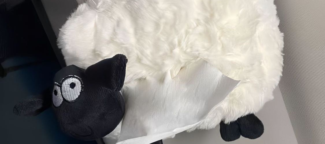 Sean Little Lamb's hanging tissue box is suitable for car use, as an in-car decoration for the armrest box
