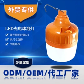 其他室外照明;LED球泡灯;LED应急灯