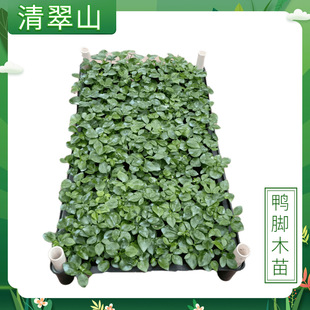 �˷���ؔ���_ľ���Ի����҃��k�����^�~ֲ���ļ�������B�Z�Ʋ���