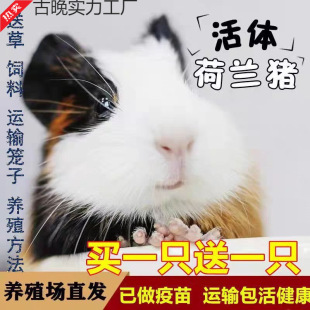 ���m����������������̺��i���m�i���m�������ò�����ﷱֳ����