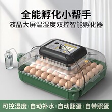 跨境直销全自动家用型鹦鹉鸽子小鸡孵化器孵蛋器孵化箱孵化机雏鸡