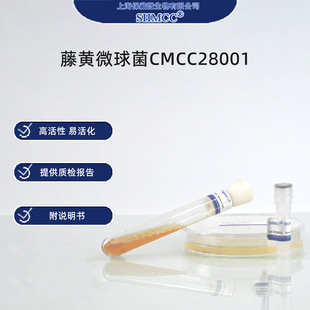 ���S΢���CMCC28001 ������Ч�r�y�� ș���׼���� �Ϻ��ٰl