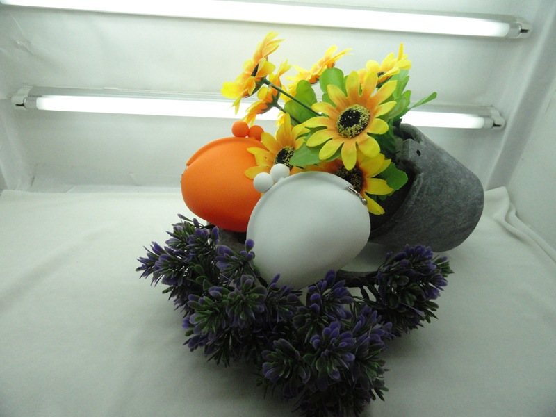 DSC01010.JPG