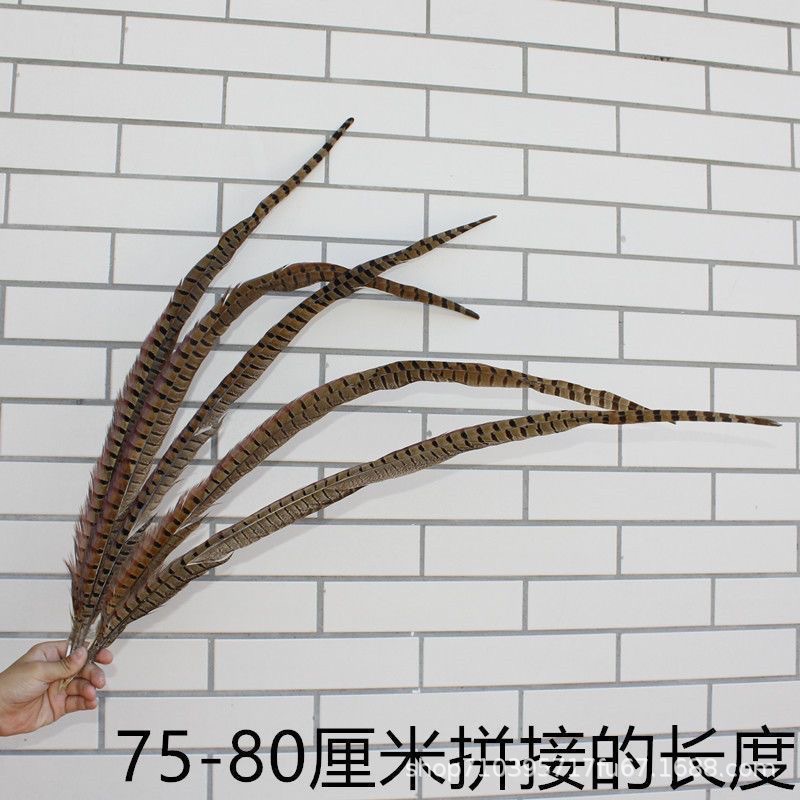 Fábrica al por mayor pelo de faisán 10-90cm cola de faisán pluma de bricolaje danza plumas de faisán cola de gallina palo de gato divertido image 23