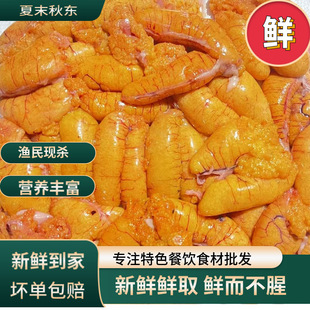 ���r�|�~�~���~���~���~���~���~�s�~���~���~�B�~�c�r�����l���~