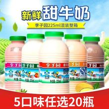 ӈ@ţ450mlƿbl ؃rԭζݮζNζx