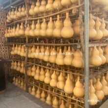 ����J�YƷ�[���Ӽ���Ѻ�Ƥ����L���k�����b[�������Ȼ,