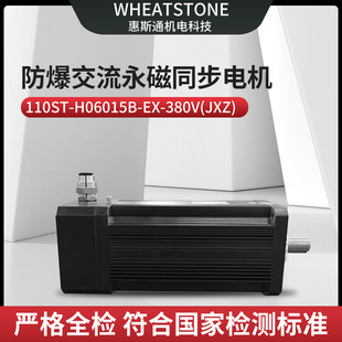 Explosion-Proof Permanent Magnet Synchronous Motor for Explosion-Proof Production Lines
