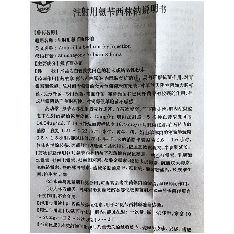 远征氨苄西林钠主图4