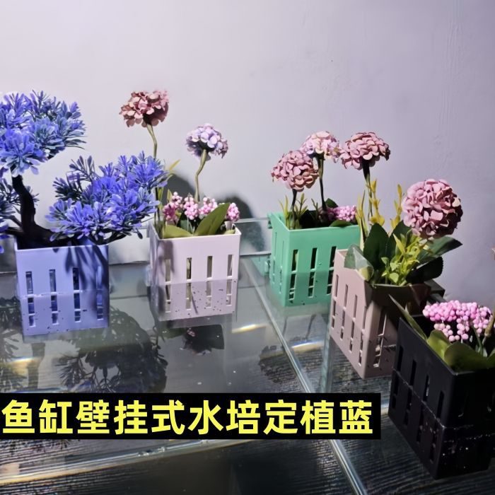 鱼缸水培植物篮家用水草种植杯壁挂式挺水植物定植篮鱼缸造景装饰