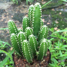 �f��ɽ����ֲ�������ƿ��̨��������՚������������ݗ��ֲ��