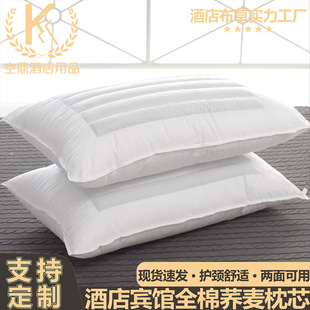 Hotel special buckwheat feather velvet pillow pillow home adult neck protection single pair of dual-use pillow wholesale