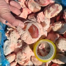 原油羊腰子新鲜羊肾羊内腰羊腰子烧烤羊腰商用半成品烧烤专用批发