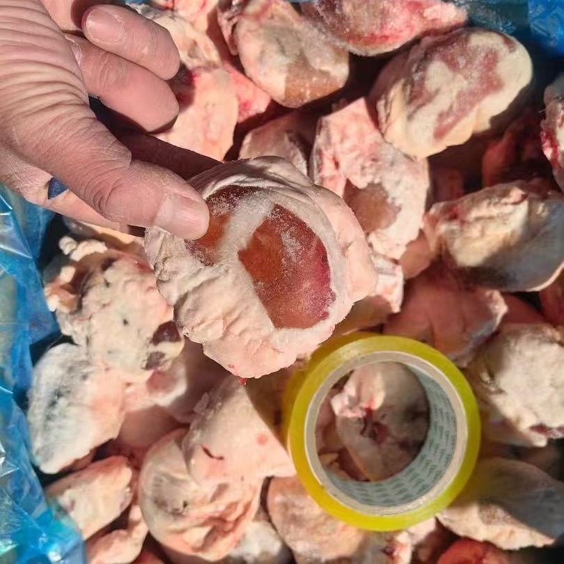 原油羊腰子新鲜羊肾羊内腰羊腰子烧烤羊腰商用半成品烧烤专用批发