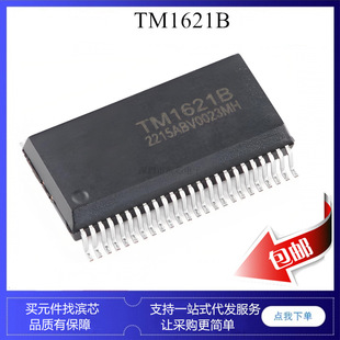 TM1621B HT1621B HT1621 SSOP48 RAMҺ��ӳ�� LCD����icоƬ
