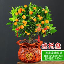 �ļ�������Ԏ����������Ә���ؔ�����ֲ̨�����⻨��С���ӾGֲ