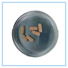 ���ƾ����Ѹ�����׵;��ĉ�Ƭ�ǹ������ȶ������ח����Ƥ�ʲ�