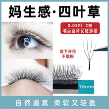 妈生款四叶草睫毛浓密超自然软毛单根美睫店专用工具yy型嫁接睫毛