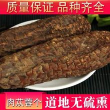 材野生肉苁蓉软质内蒙古肉苁蓉个沙漠人参肉丛容500g包邮