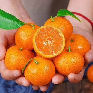 ���A�|�����ɰ�ǽ�B�������~����480g~520g/��*3��