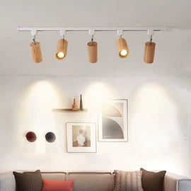 吊灯;室内壁灯;吸顶灯