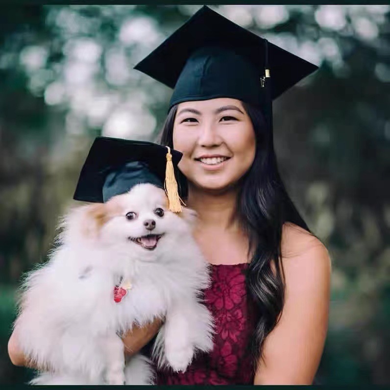 Pet graduation cap dog cat graduation cap dog bachelor cap doctor cap graduation photo props