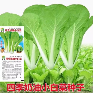 �ļ�����С�ײ˷N�Ӱײ˷N��ԭ�b�ļ��߲˷N�Ӵ�ȫ�˷N�����l���l