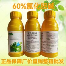 60%�Ȼ�đ�|��󄩻����R������a�rș�Ȼ�đ�|�������l