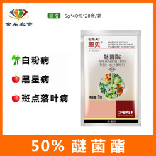 ��˹���ؐ�Ѿ�����ݮ������׷۲��~�ߺڰ߲�ֲ�ﻨ���rș������