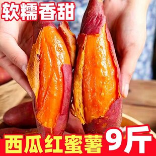 �������ϼt���������r�����t��ɳ�ؼt�ķ���ɳ�����Ŀ��ع��߲�